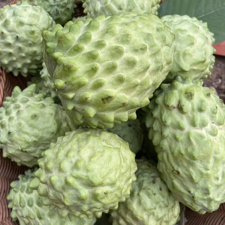 新鲜牛奶凤梨释迦果现摘当季水果番荔枝佛头果产地直发