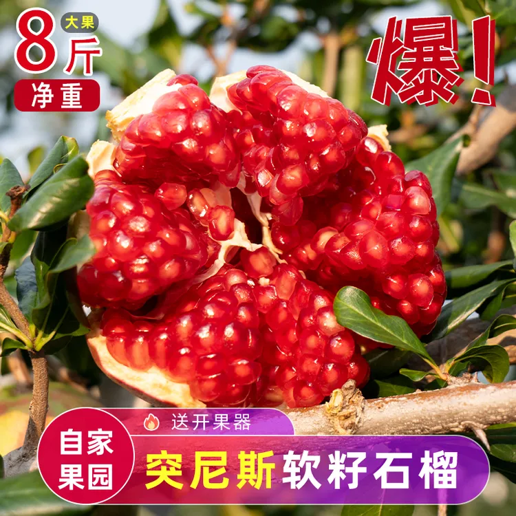 突尼斯软籽石榴当季时令生鲜5/8斤新鲜水果礼盒四川会理无籽整箱
