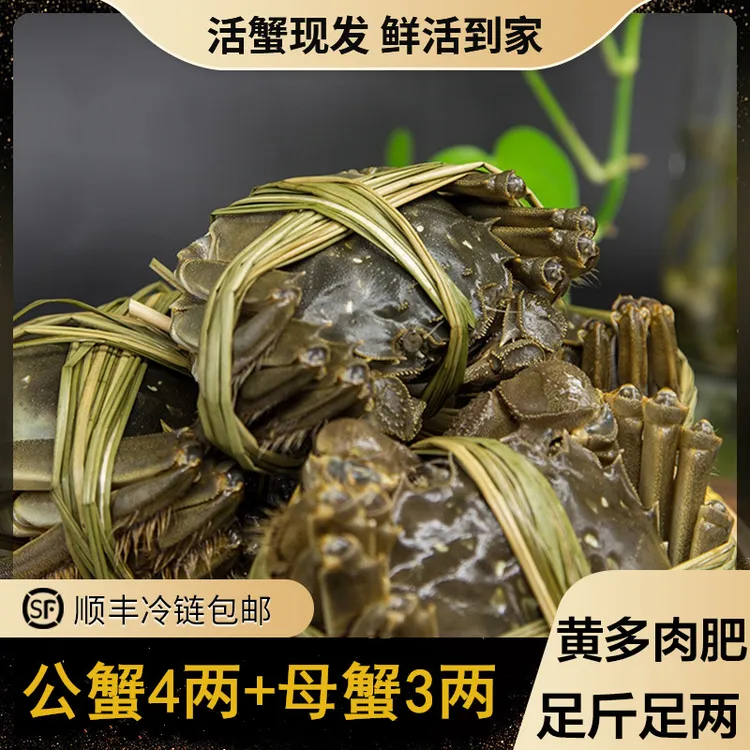 【活蟹】X金标蟹大闸蟹母蟹3.0两公蟹4.0两6只8只10只鲜活螃蟹礼盒