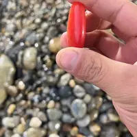 和田玉（糖玉）未镶嵌珠宝奇石