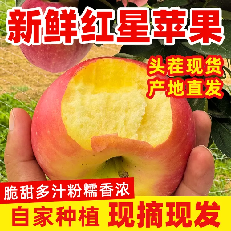 山西运城万荣县红星苹果脆甜多汁粉糯香浓【中小果】5斤净重实惠装