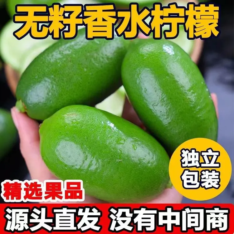 广东香水柠檬 四季柠檬 新鲜无籽柠檬 奶茶店饮品专用柠檬