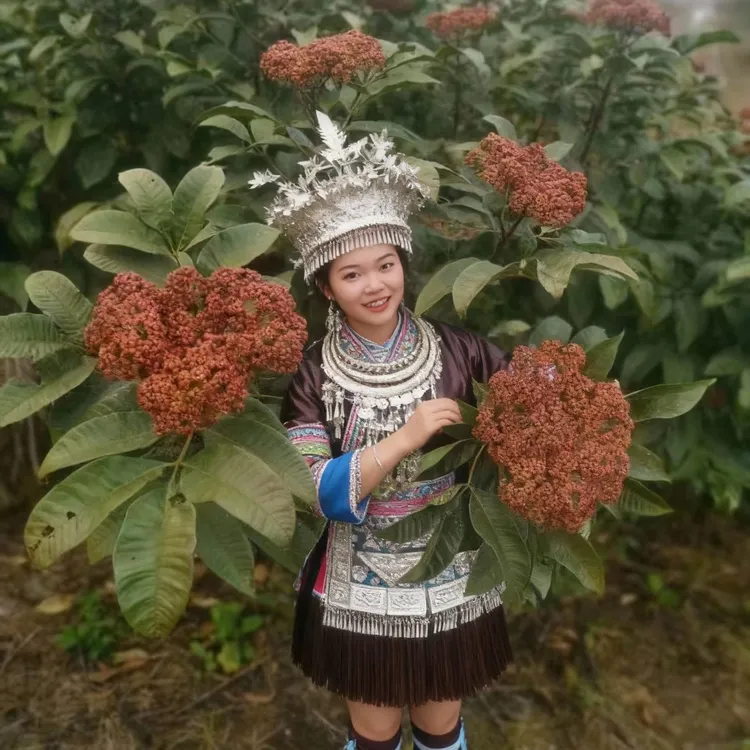 棰油子垂油子锤油子捶油子黎平本地棰油子牛瘪羊瘪香料干货