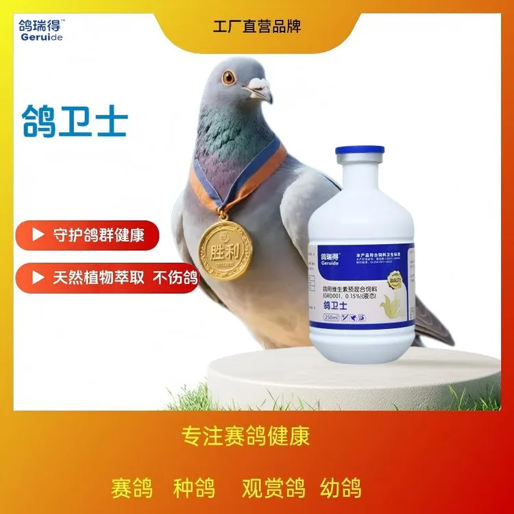 鸽卫士鸽子扭颈歪头水绿便缩头炸毛饮水增加呆立伸脖呼吸道流涕泪