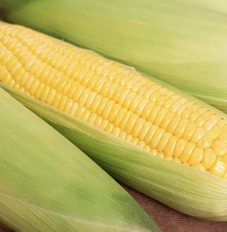 湖北正宗新鲜可生吃的水果玉米甜脆爆浆清甜多汁（每日现掰）带皮