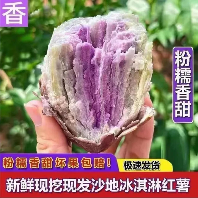 正宗广东高州沙地种植冰淇淋一点红番薯新鲜现挖粉糯香甜健康