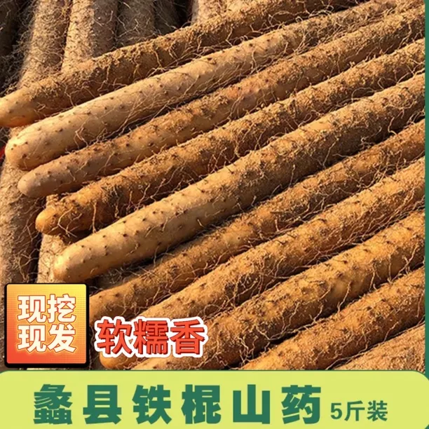 正宗蠡县铁棍山药新鲜现挖滋补火锅食材软糯甘面精选大果五斤装
