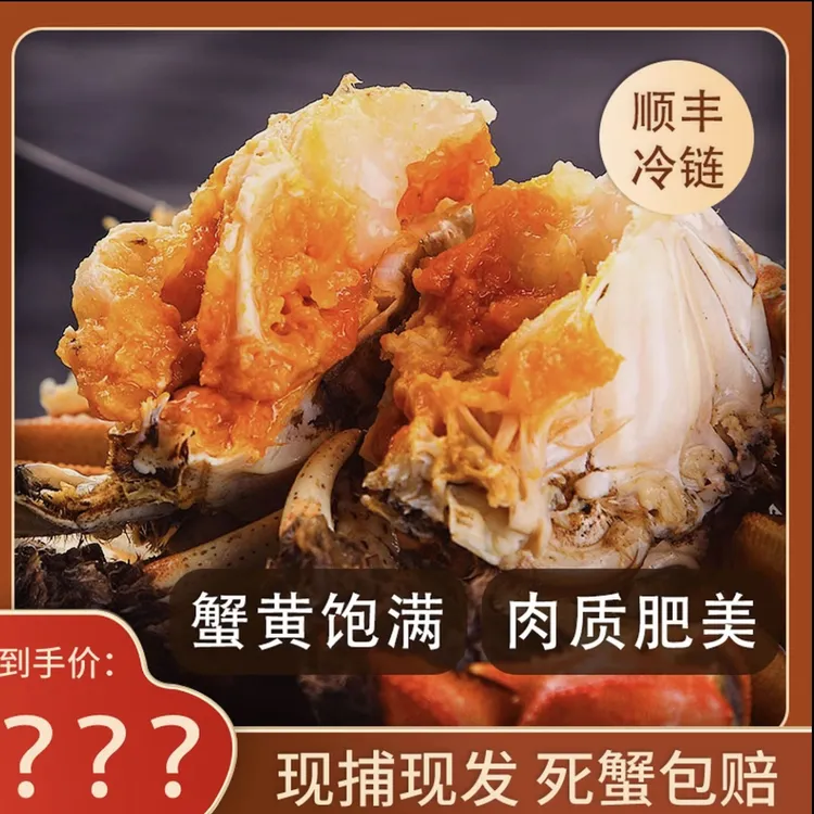 全母蟹【活蟹】盘锦河蟹稻田全母蟹0.8~1两2斤3斤顺丰包邮