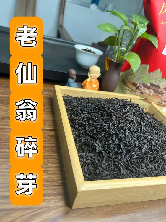 潮州凤凰高山炭焙中秋好礼老仙翁单枞碎角碎芽500g单枞凤凰单枞