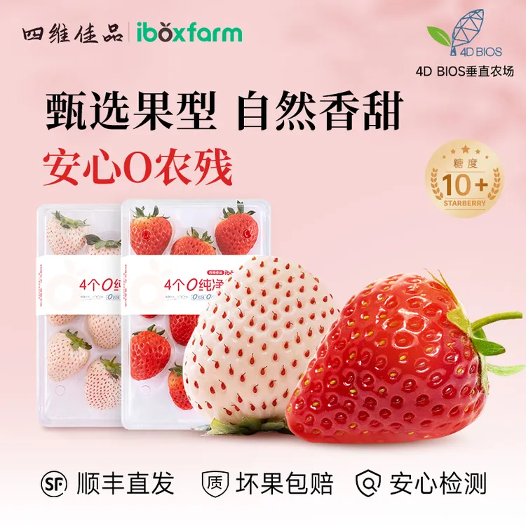 草莓顺丰空运四维佳品现摘零农残草莓送孕妇送女生香甜高档礼品