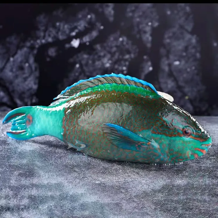 西沙-手捕小青衣5斤装 鲜活急冻 原生态生长 青衣鱼 珊瑚鱼