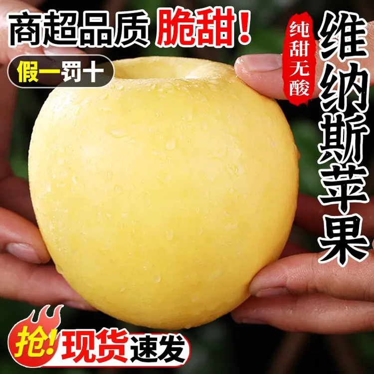 山东维纳斯黄金苹果新鲜水果当季整箱现摘奶油富士冰糖心丑苹果