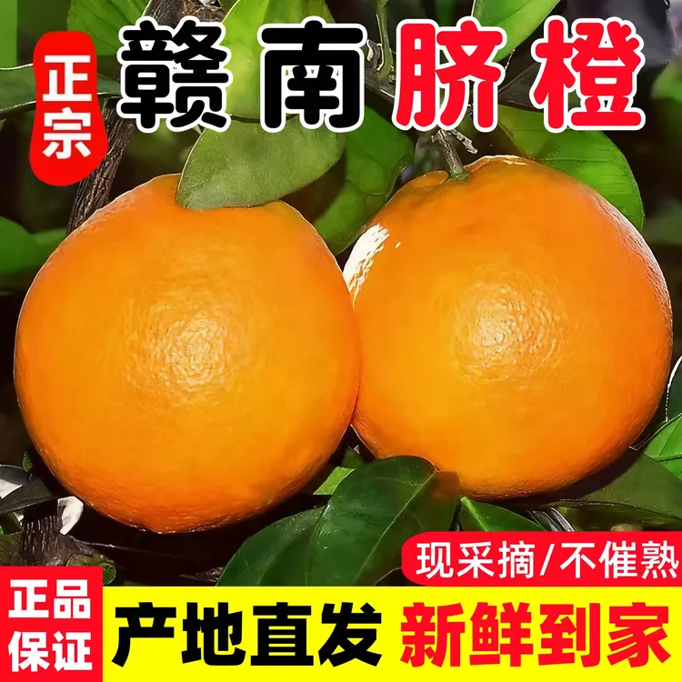 正宗赣南脐橙新鲜十斤装大果橙子江西赣州产地直发当季新鲜水果