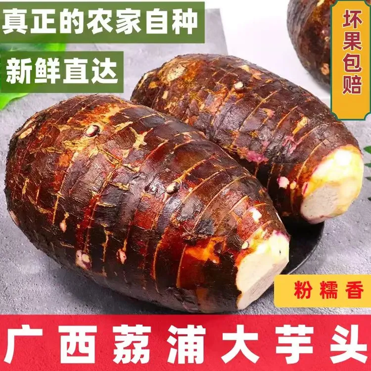 正宗荔浦香芋荔浦新鲜现挖粉糯大芋头香芋头广西荔浦