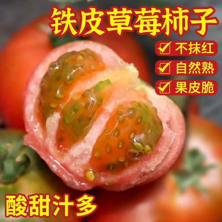 伊恬铁皮柿子净重5斤【京东包邮】盐碱地种植