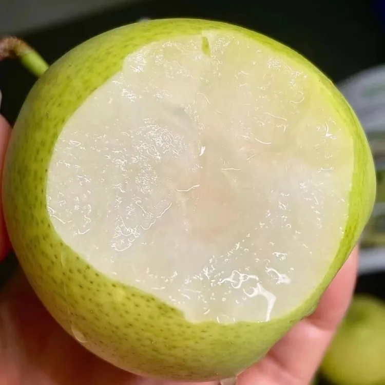 正宗砀山青皮皇冠梨新鲜水果脆甜多汁新鲜水果整箱包邮翠香