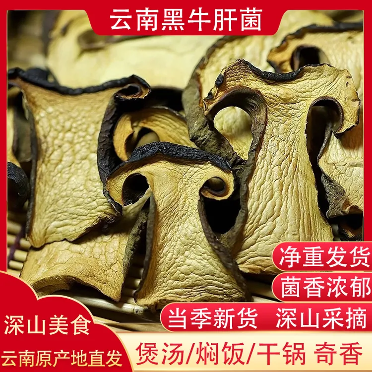 牛肝菌新鲜干货云南特产菌子黑牛肝黄牛肝商用无沙食用菌干货250g