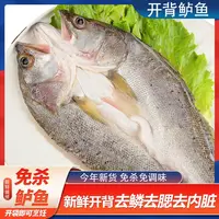 【开背海鲈鱼】白蕉海鲈鱼400-500g*4条活杀去鳞去鳃去内脏
