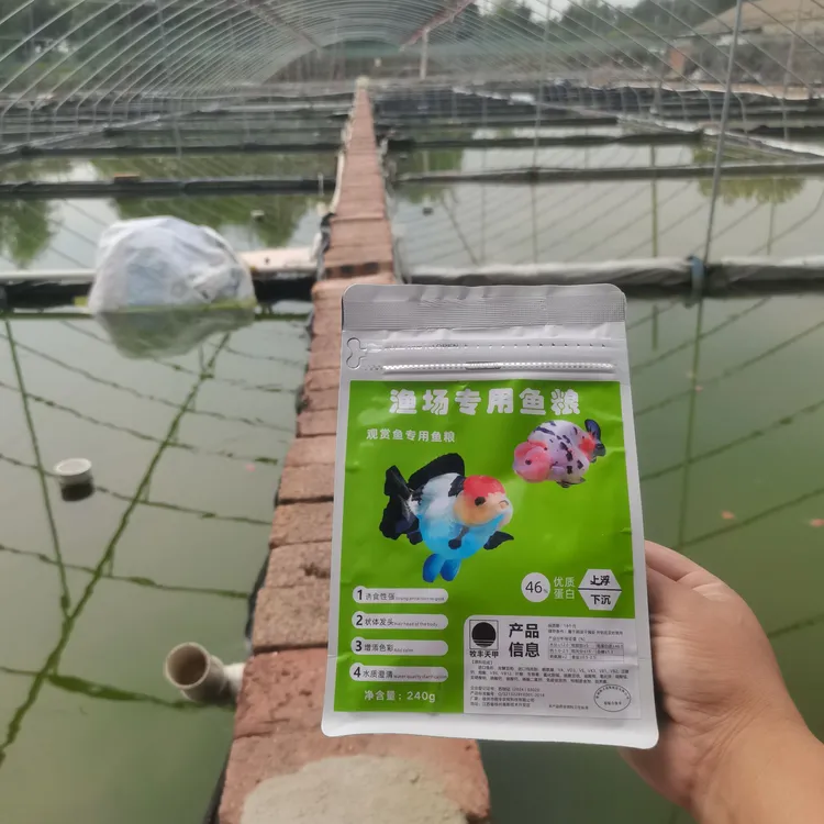 小型观赏鱼饲料金鱼曼龙丽丽热带鱼粮孔雀鱼微粒饲料颗粒  催生长