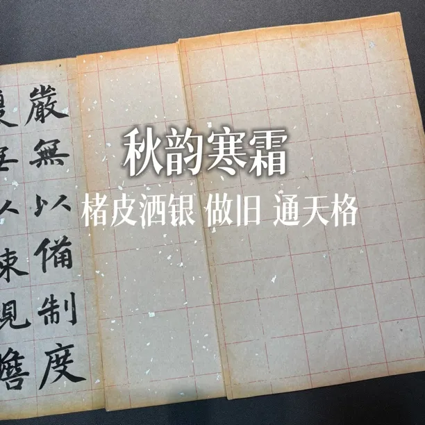 秋韵寒霜 褚皮洒银做旧 古风宣纸日课作品纸半生熟小楷纸拍三送一