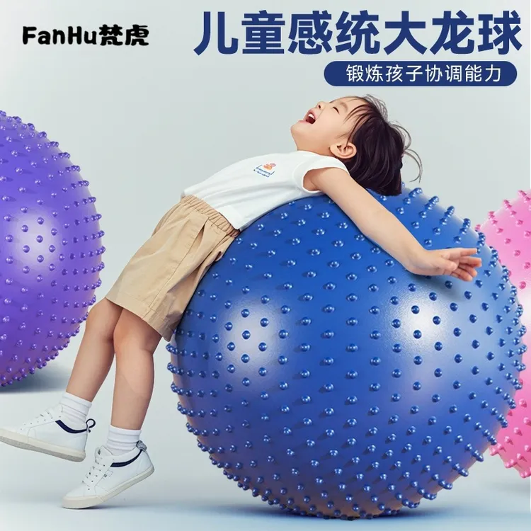 感统训练器材家用大龙球儿童运动前庭失调平衡早教瑜伽按摩球玩具