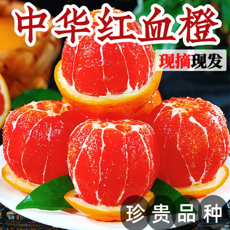 【老树果】正宗湖北秭归中华红心血橙新鲜现摘酸甜多汁当季水果应季