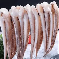 连云港发货 脆口盐揉鱿鱼须 鲜冻二本足含保护冰 500g/包*5包