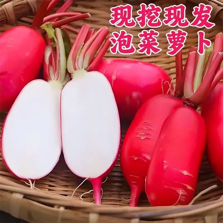 农家自种红萝卜红皮水萝卜白肉新鲜蔬菜泡菜当季蔬菜冬季胭脂萝卜