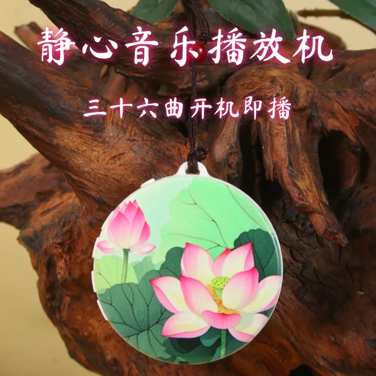 小型便携式音响小型播放器内置曲目充电单曲循环经典曲目老人唱机