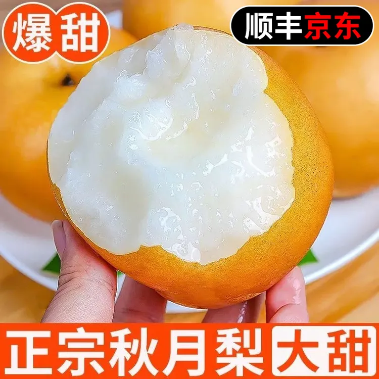 S3【顺丰/京东】正宗山东秋月梨新鲜发货脆甜多汁应季现摘水果梨