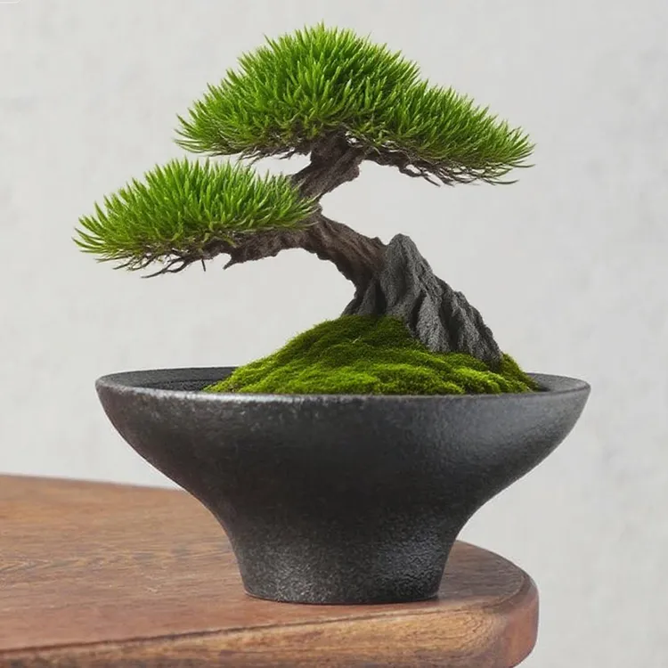 圆形新款水培植物文竹盆景石斛兰蕨类简约陶瓷盆禅意兰花无孔花盆