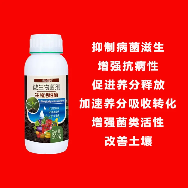 丰姜盛宴防死棵组合 防治烂脖子 根腐病 白绢病等生姜死棵