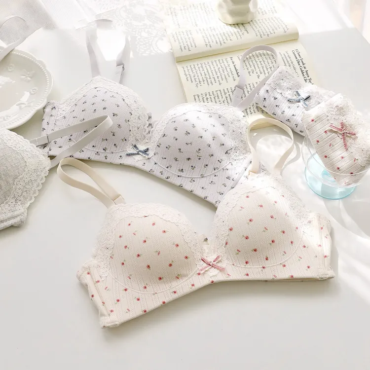 内衣少女日系甜美温柔蕾丝性感小胸聚拢显大无钢圈上托防下垂文胸
