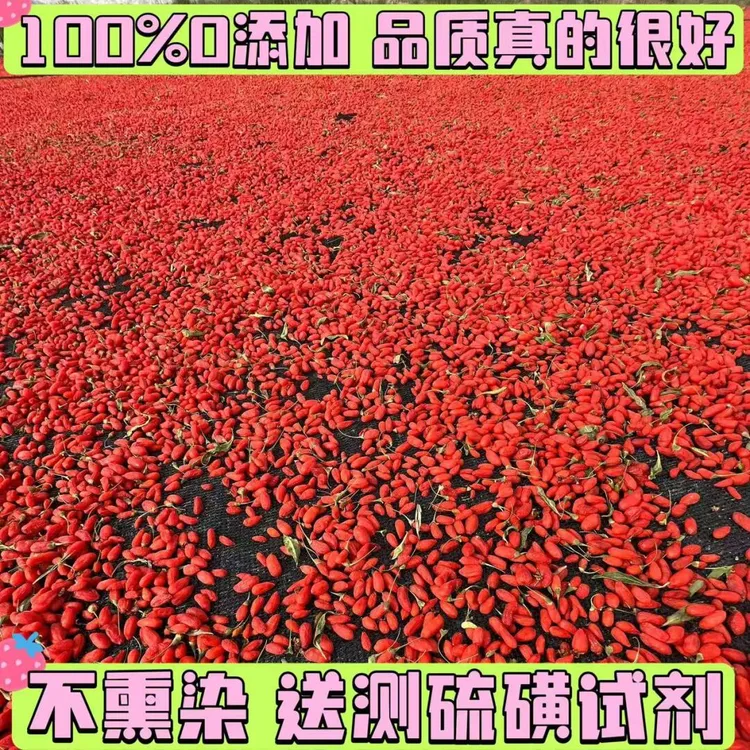 无熏硫无亚钠无染色自产自销枸杞子枸杞干有机枸杞青海农家特优级