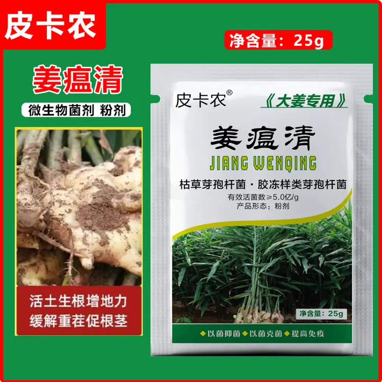 亮威生姜大姜使用姜温清干尖黄叶炭疽升级版提质增产微生物肥料