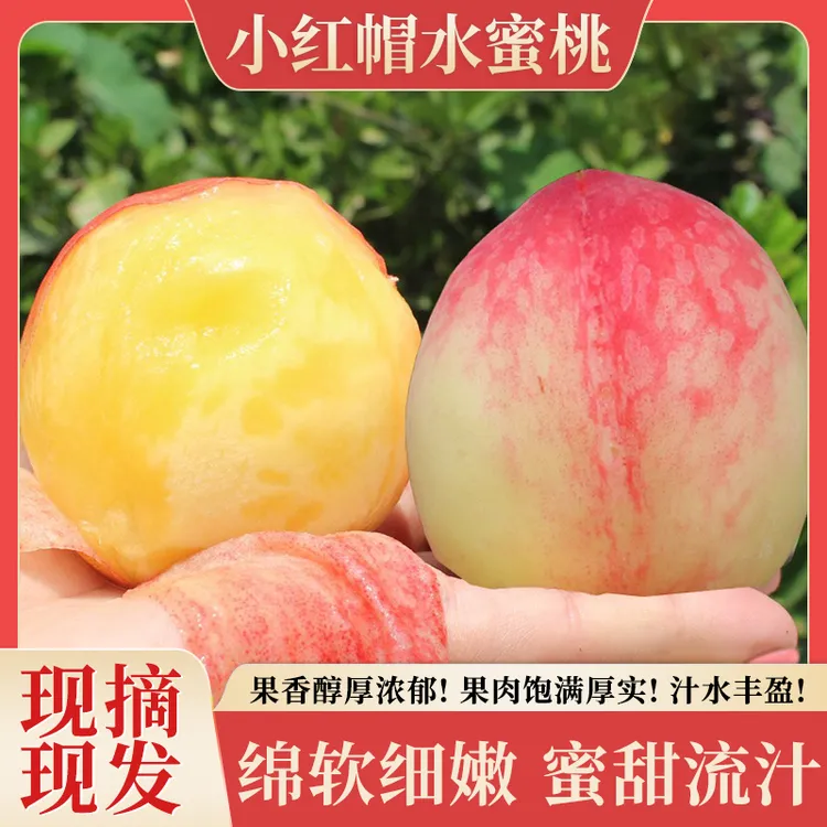 小红帽水蜜桃新鲜现摘小红白凤水蜜桃时令水果小水蜜桃香甜多汁