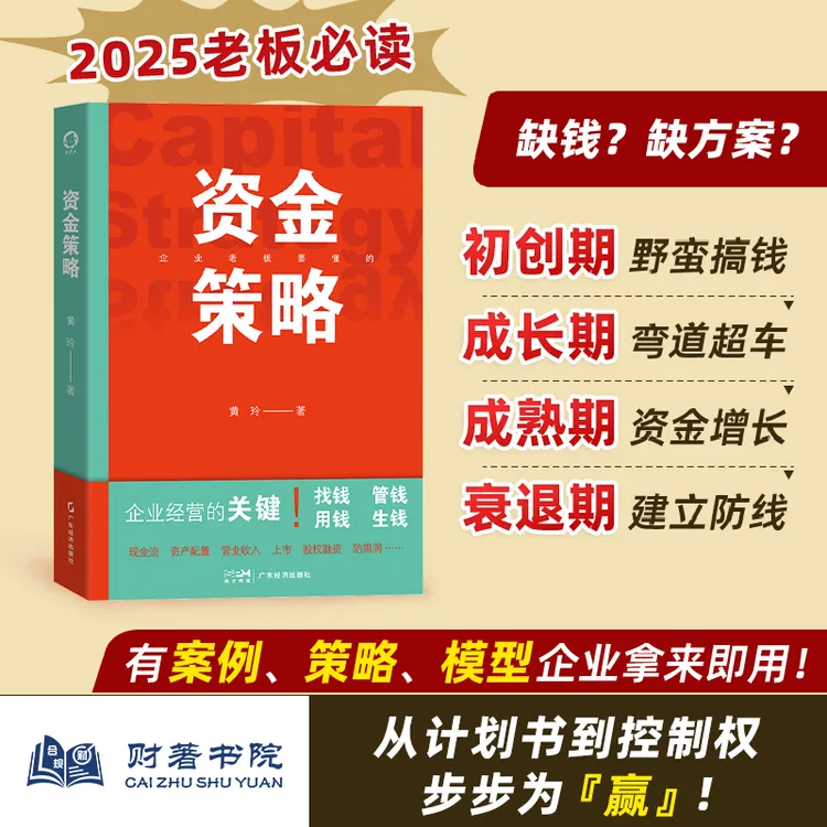 【新书】企业资金管理财税类图书 资金策略（融资思维）黄玲著 