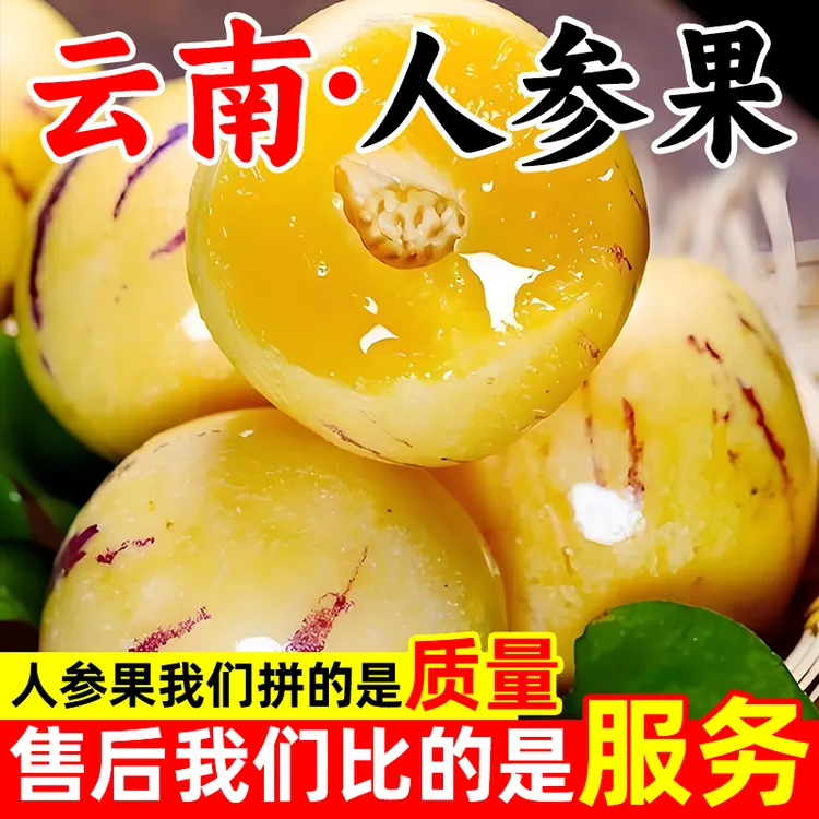 【正宗】云南石林人参果黄心树熟大圆果当季新鲜时令水果清甜人参果