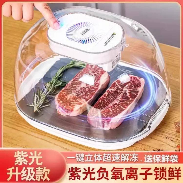 德国新款厨房家用解冻器快速肉类牛排食品保鲜化冰解冻盘四合一