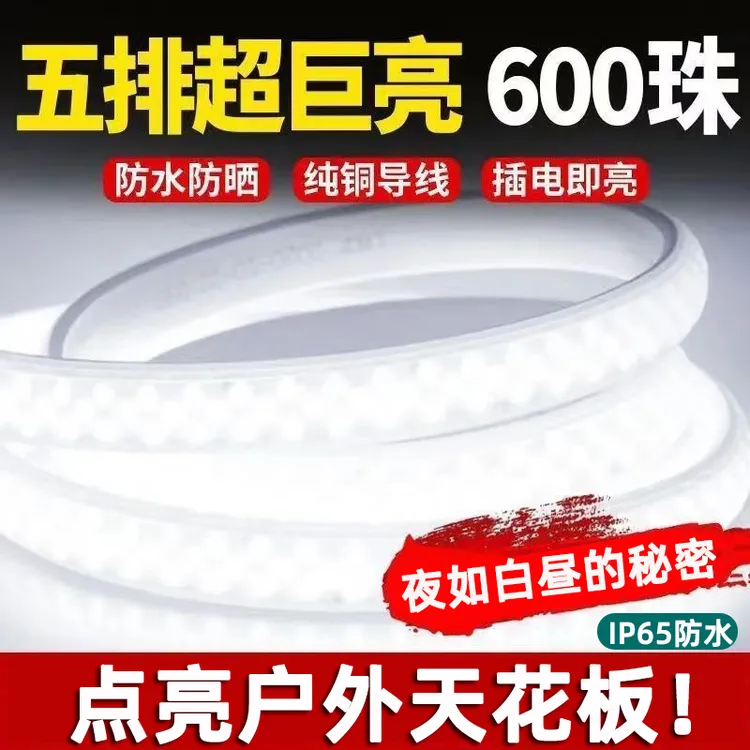 led灯带220v户外防水加宽超亮化家用吊顶养殖场工地隧道照明灯条