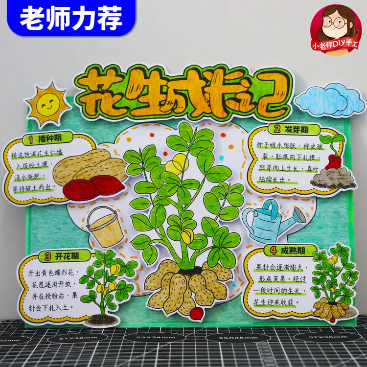 自制花生成长记录手抄报模板植物生长观察日记自然笔记立体粘贴画
