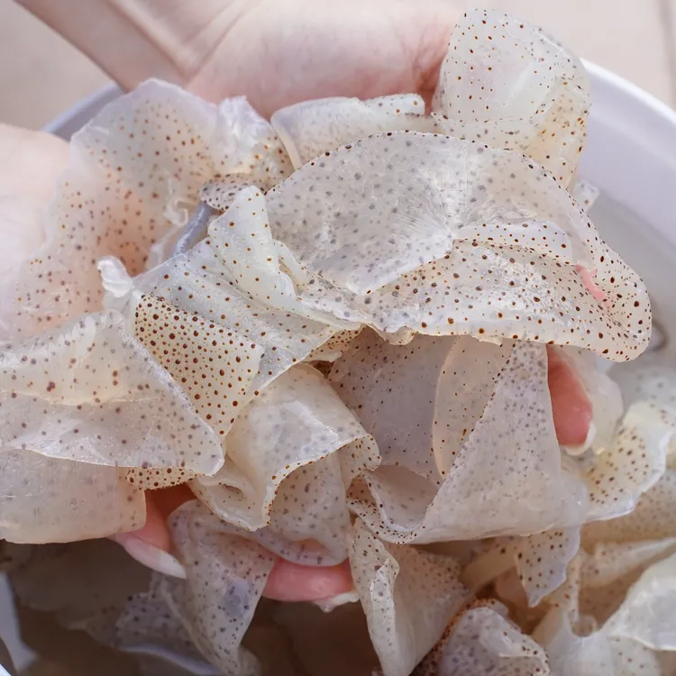 坤坤-博茂海蜇【盐渍蜇花皮】吴川野生海蜇烹炒凉拌海蜇3斤5斤10斤桶装