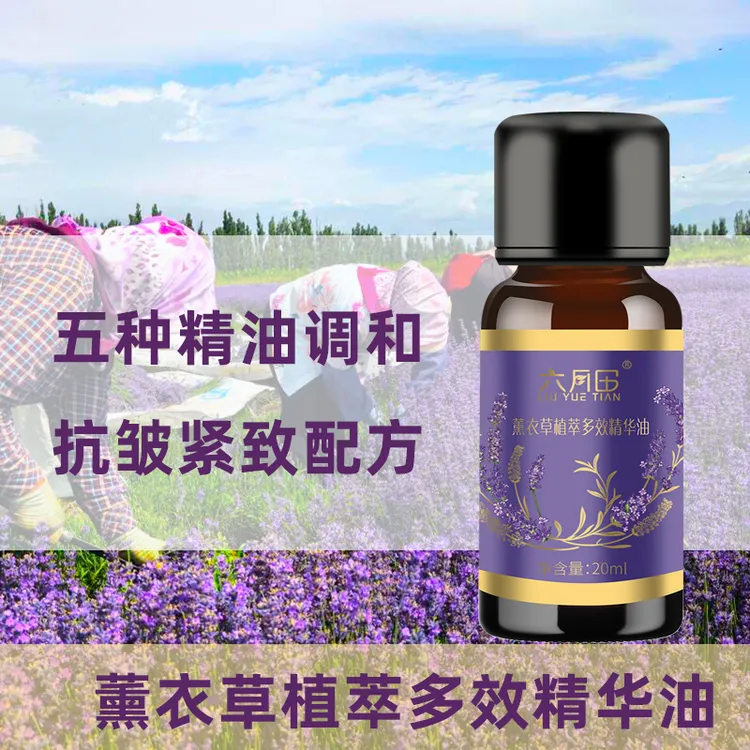新疆六月田薰衣草植萃多效精华油五种植物精油调和抗皱紧致保湿