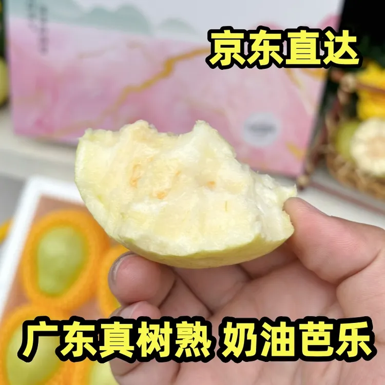 广东软糯香甜白心奶油芭乐树上熟低糖新鲜水果膳食纤维京东包邮