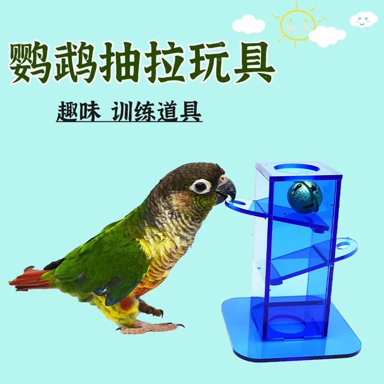鹦鹉鸟玩具训练道具觅食玩具智力开发鸟用品亚马逊新款互动鸟用具