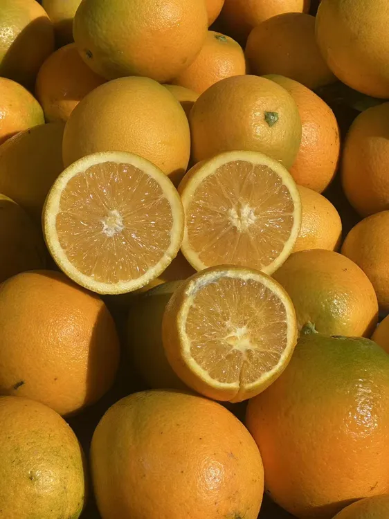 正宗江西赣南脐橙橙子新鲜大果孕妇甜橙产地直发视频水果