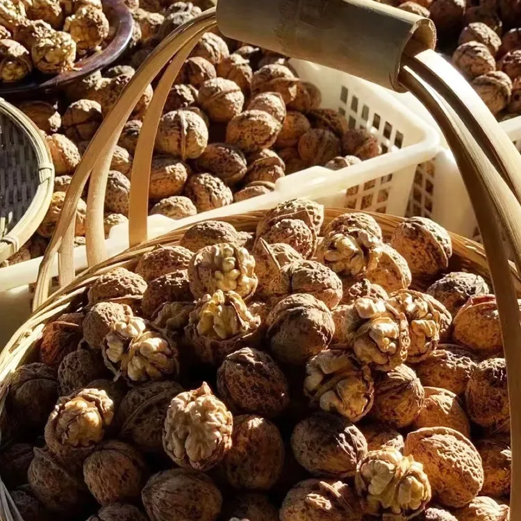 原生态云南老树薄皮核桃大果新货原味无漂白营养丰富