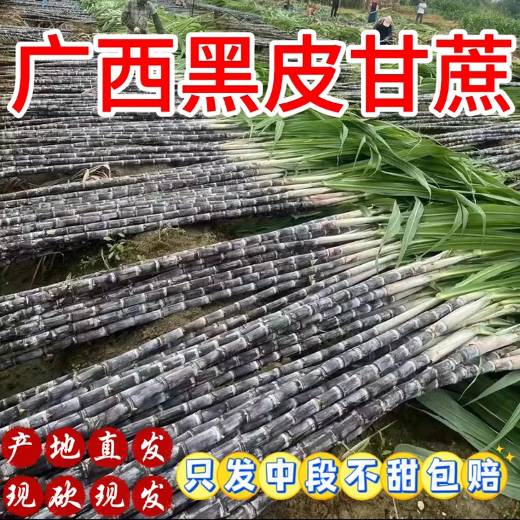 广西黑皮甘蔗脆甜多汁产地直发5斤/9斤