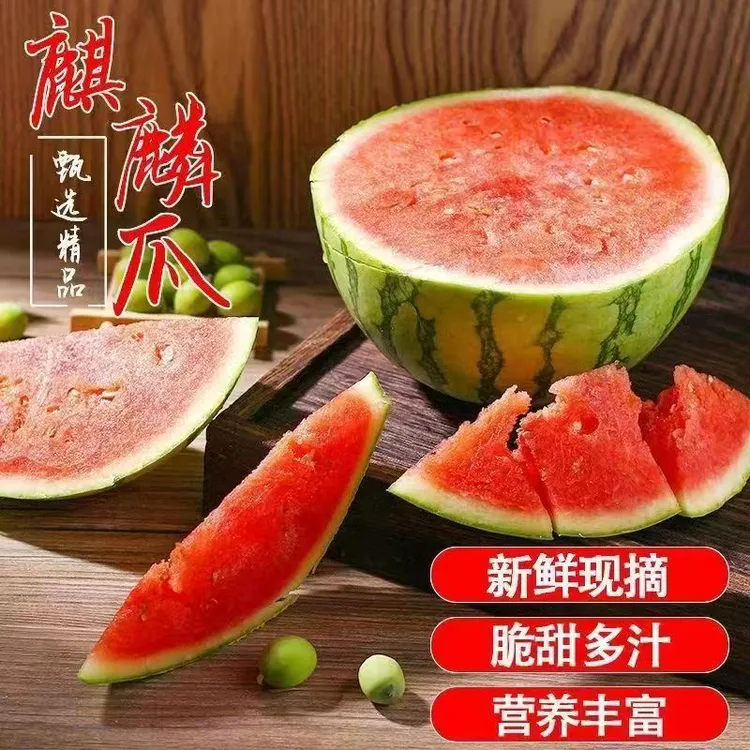 云南高山美都麒麟瓜早熟薄皮无籽西瓜新鲜采摘