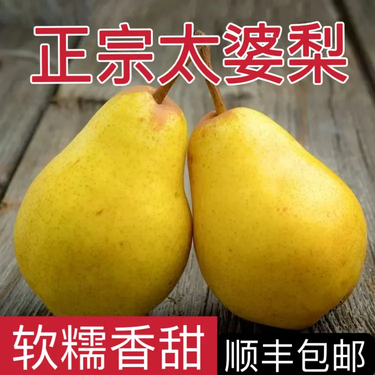 顺丰包邮】太婆梨子软糯香甜疙瘩鸭梨新鲜丑梨软啤梨新鲜水果3-9斤